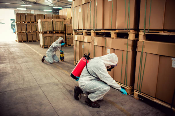 Best Pest Control Near Me  in Malad City, ID