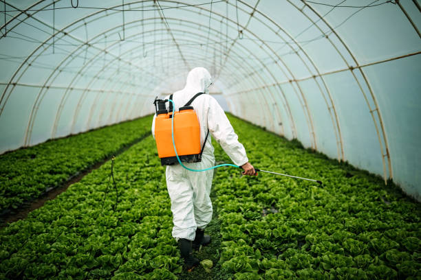 Best Pest Removal Services  in Malad City, ID