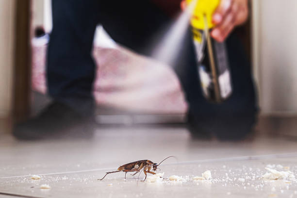 Best Best Pest Control Companies  in Malad City, ID
