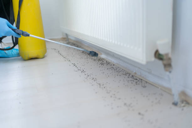 Best Residential Pest Control  in Malad City, ID