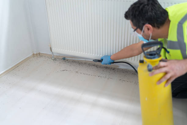 Best Mosquito Control Services  in Malad City, ID