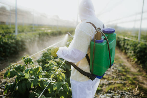  Malad City, ID Pest Control Pros